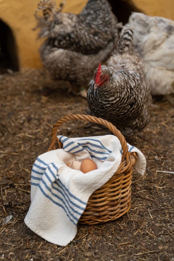 Medium Country Towel With Stripes On Ends, Denim, view 2